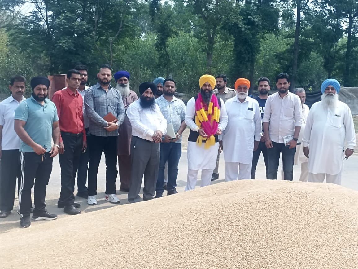 चेयरमैन बलदीप सिंह सैनी ने गढ़शंकर व रोड़ मजारा अनाज मंडियों में गेहूं की खरीद शुरू करवाई